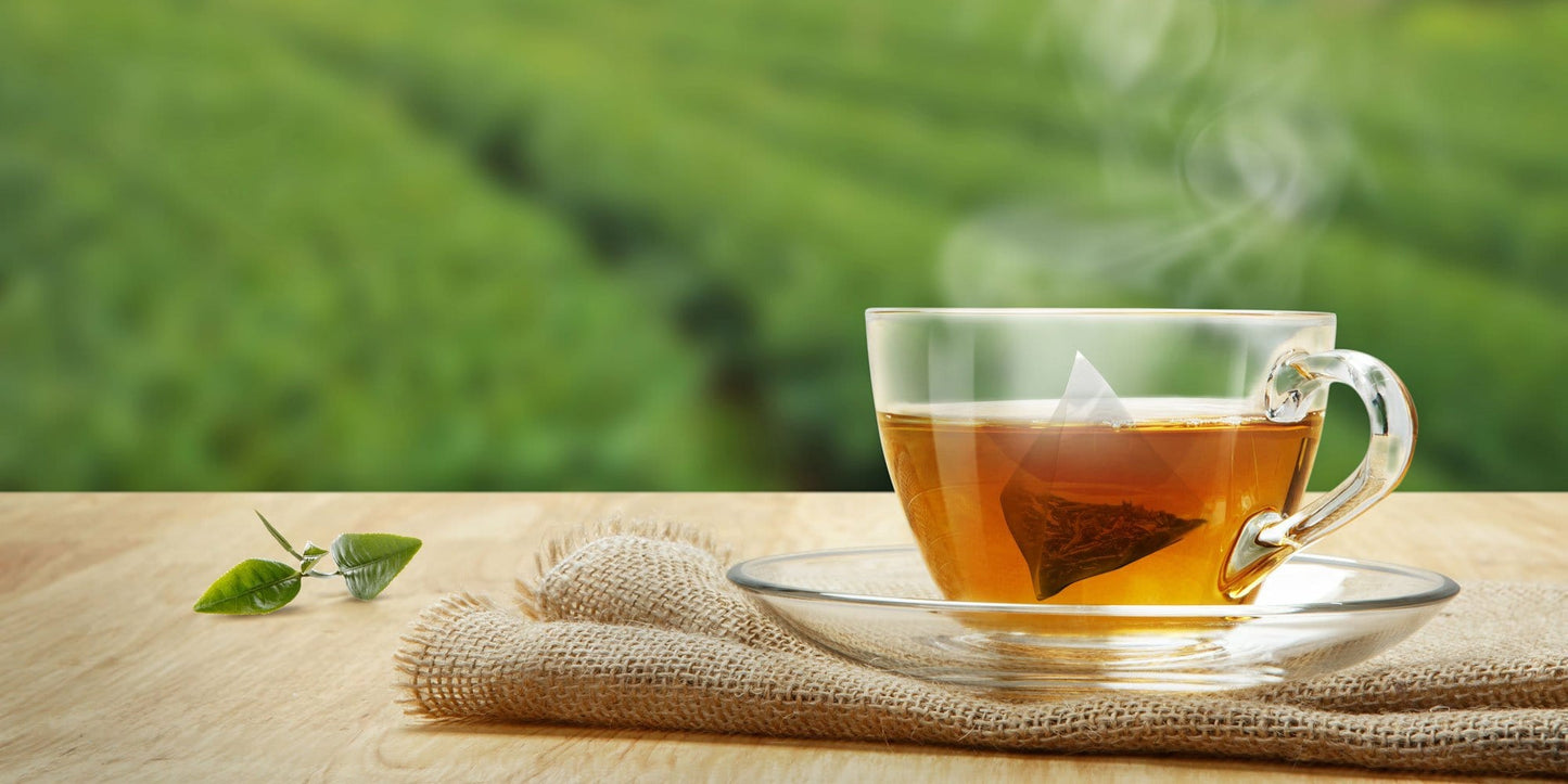 The Insider's Scoop On Composting And Fertilizing With Tea Bags