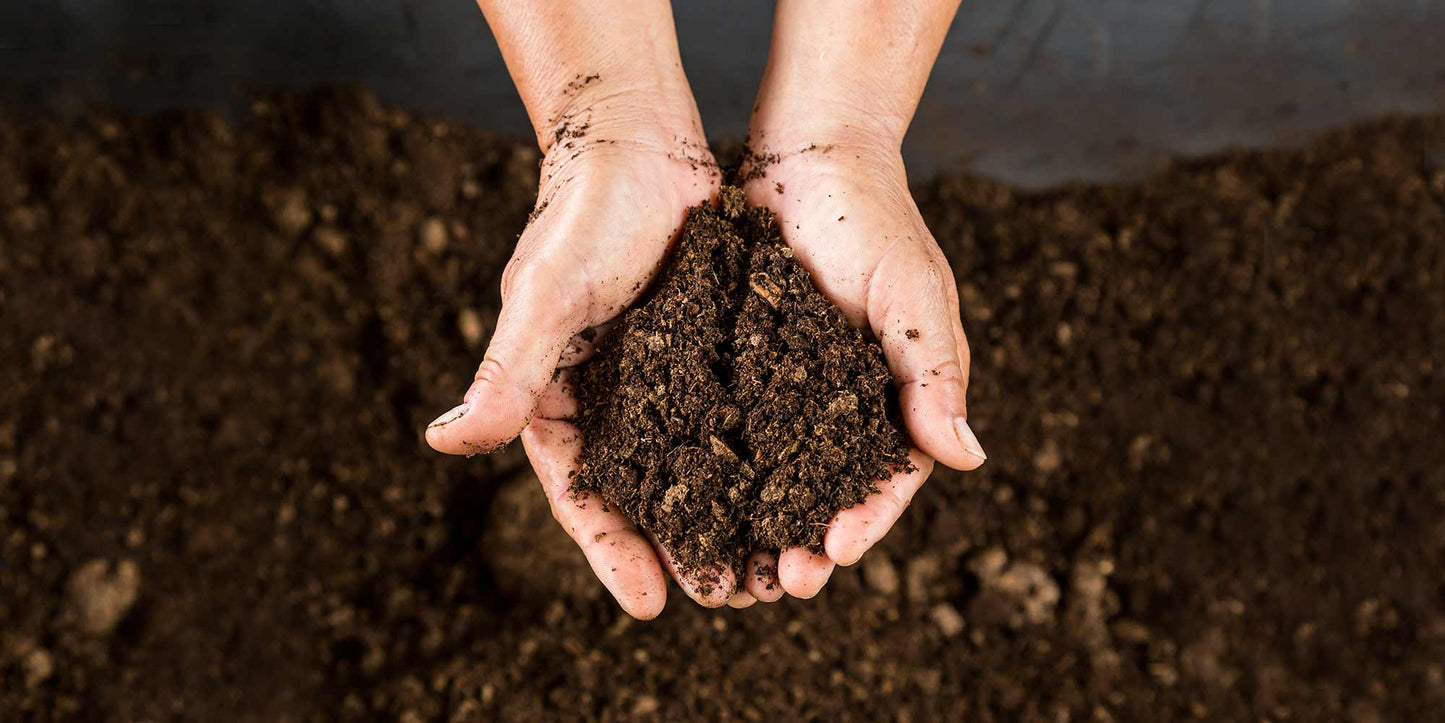 Composting Dirt with Tea