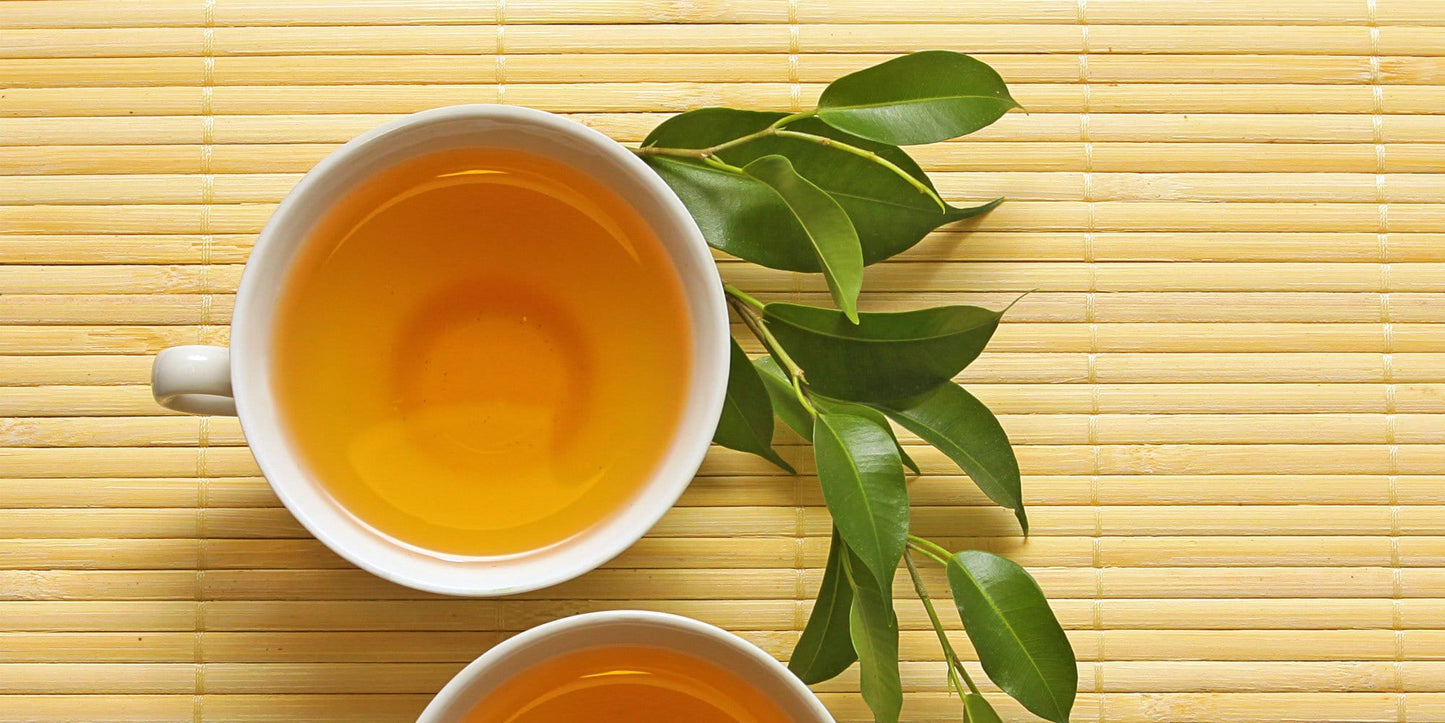 Green Tea in Cup on Table