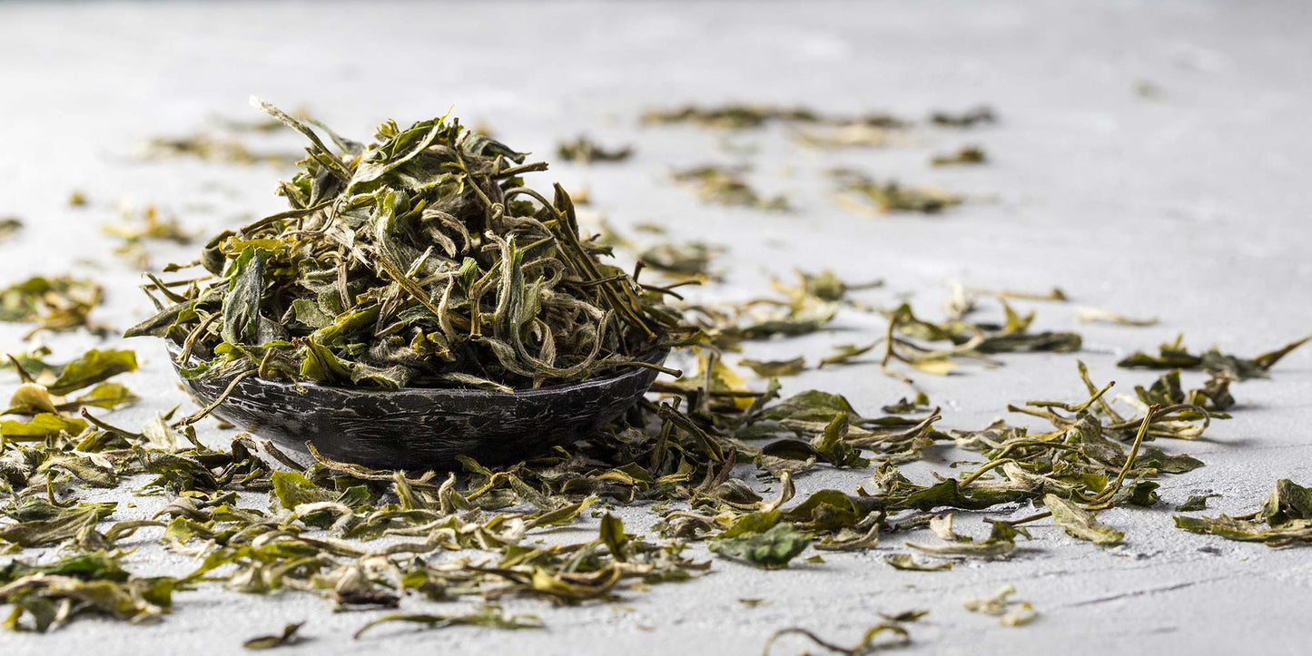 Unprepared White Tea in Bowl
