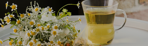 Herbal Infusions
