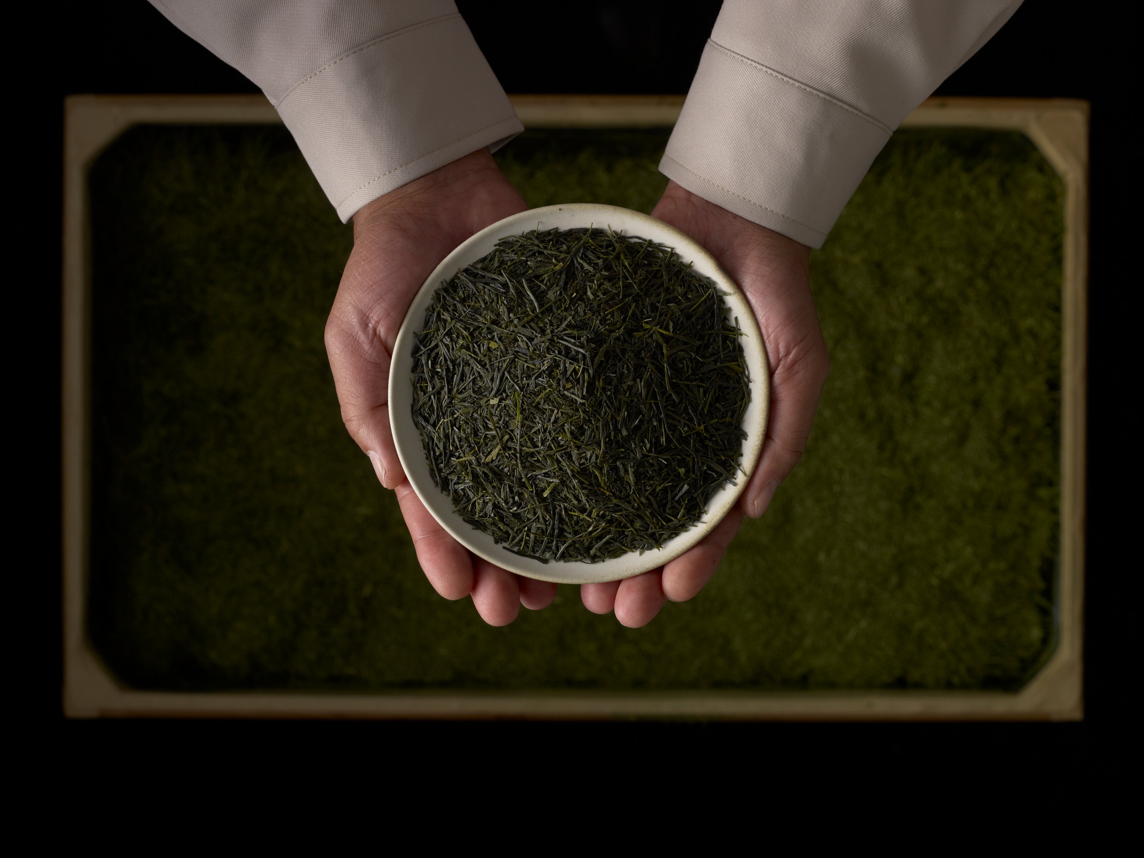 Hands holding a bowl filled with loose green tea leaves over a green surface.