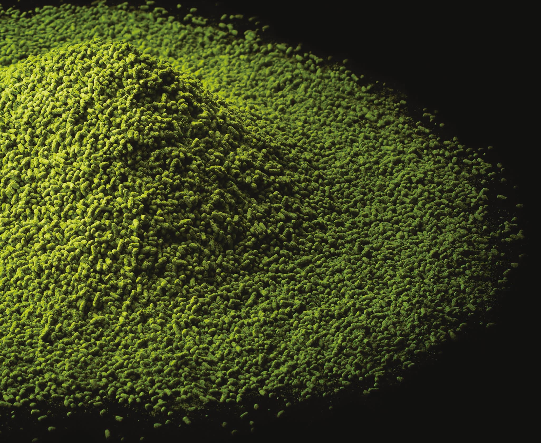 Pile of coarse green matcha powder on a dark surface, creating a textured effect.