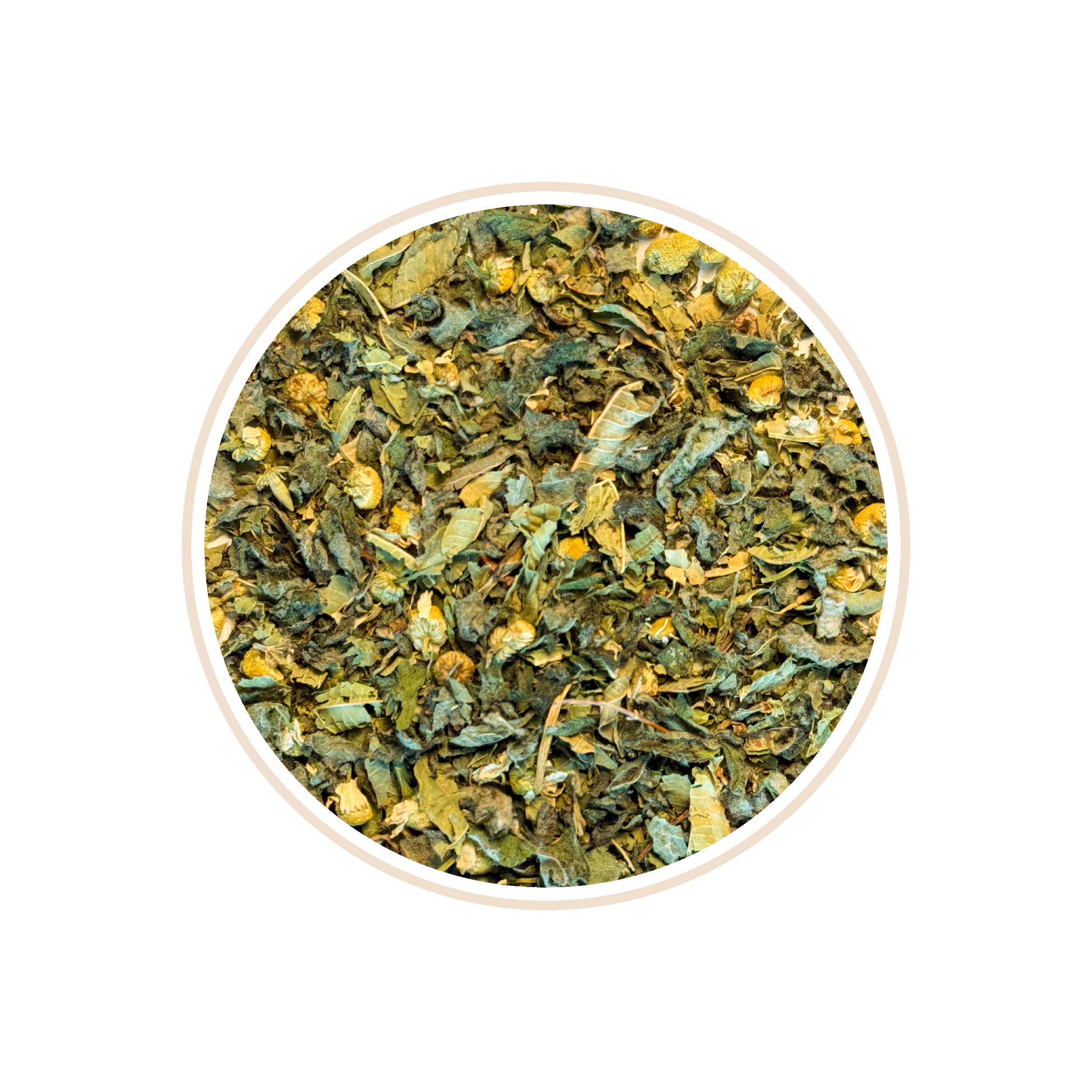 Herbal blend with green leaves and yellow chamomile buds in a circular frame.