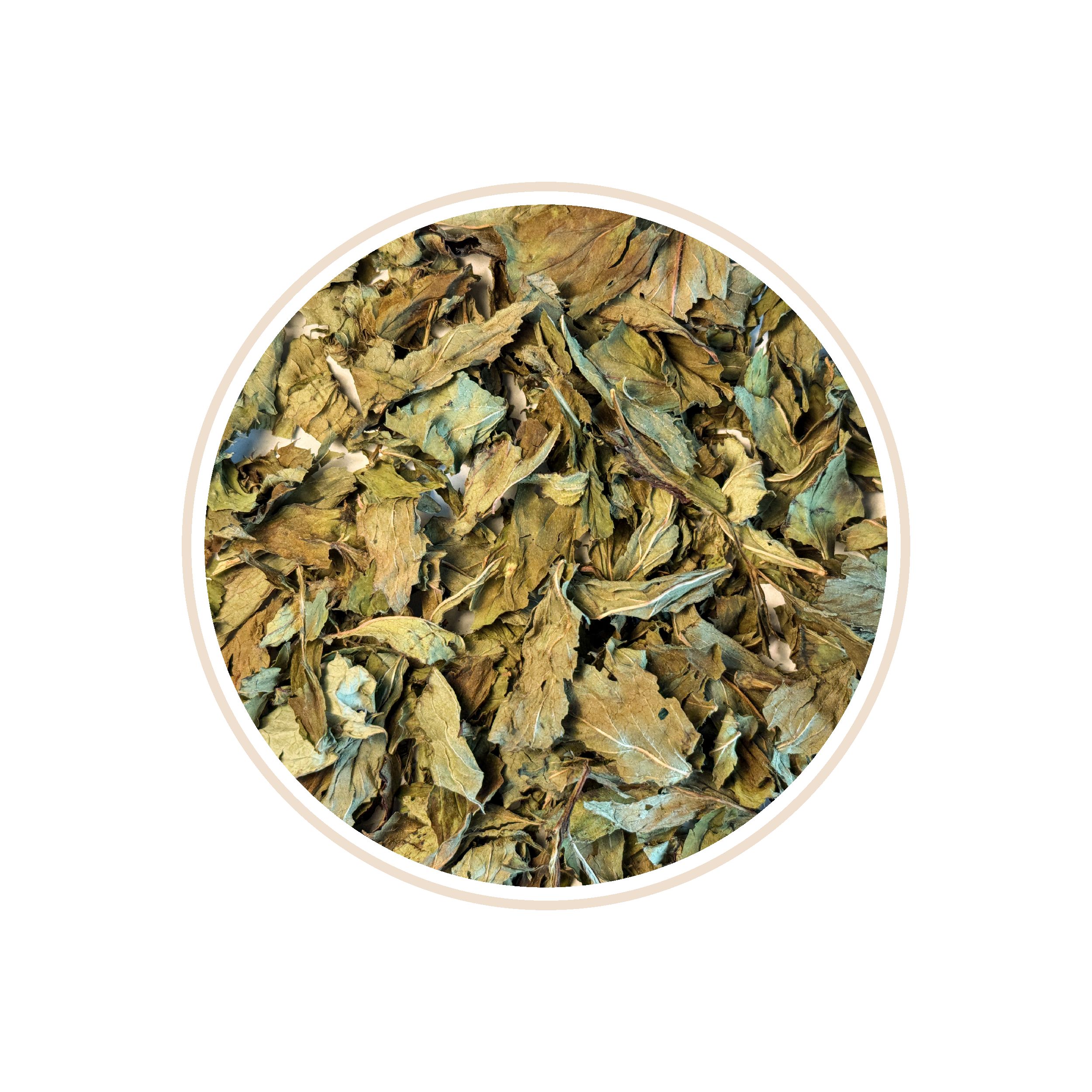Green tea leaves with hints of blue petals in a circular frame.