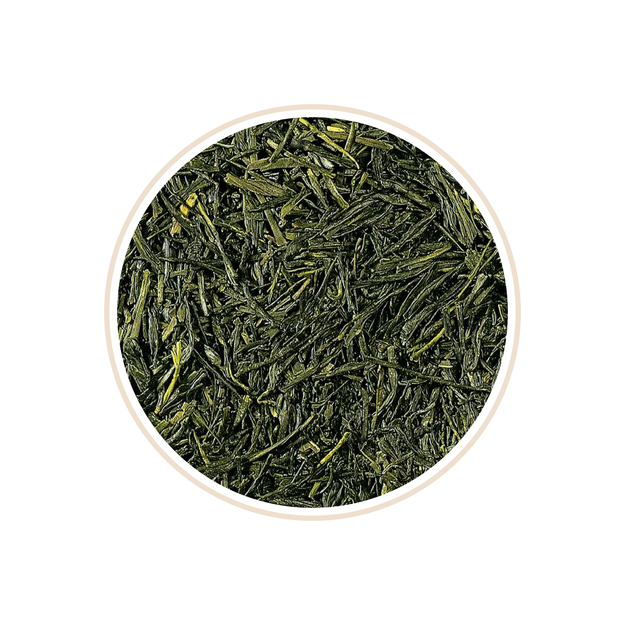 Small green tea leaves cut thinly and densely packed.