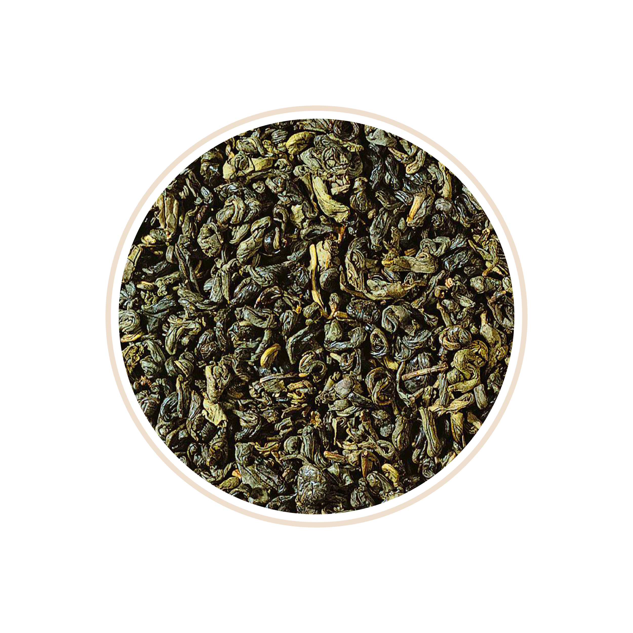Rolled green tea leaves with a shiny surface.