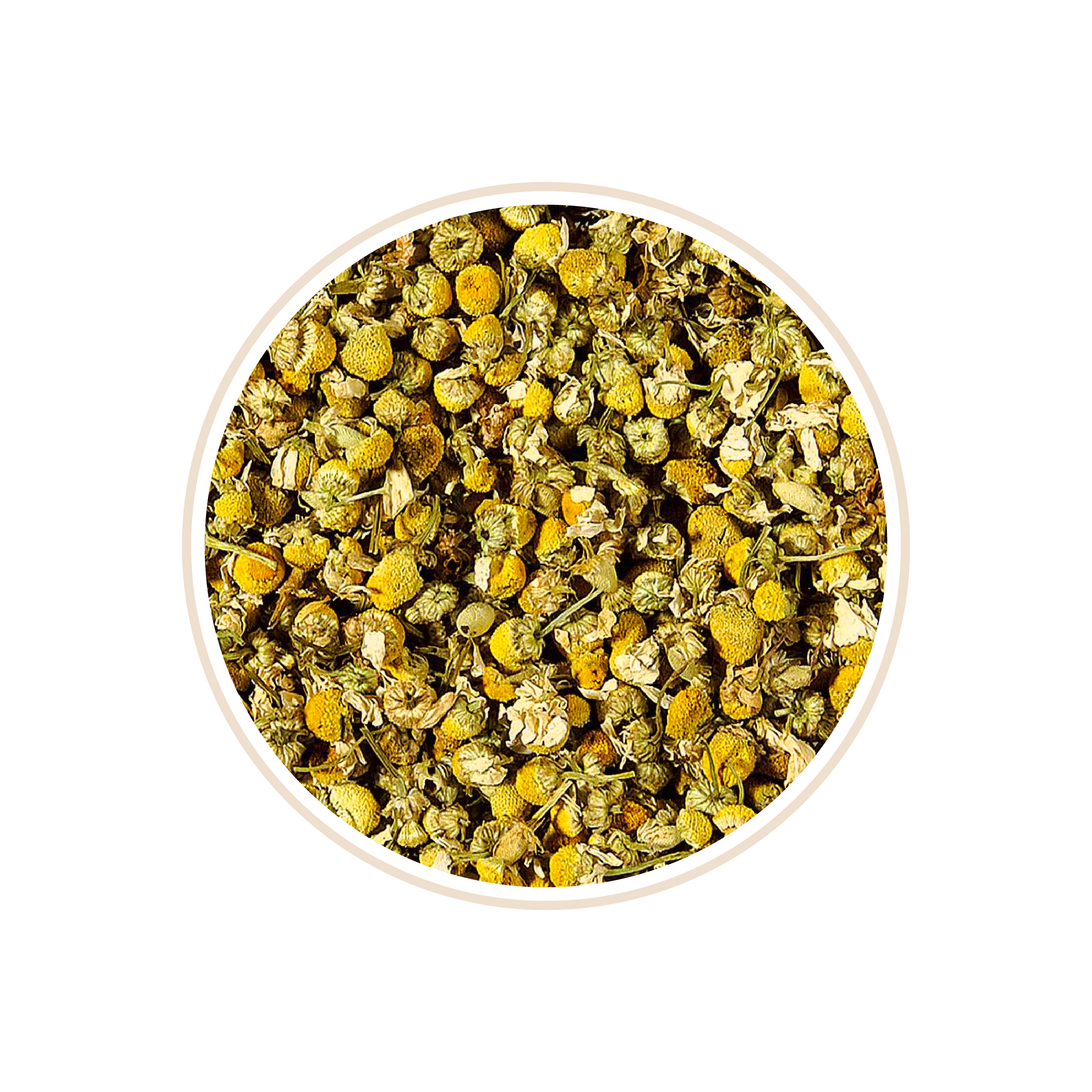 Dried chamomile flowers, mostly yellow and white.