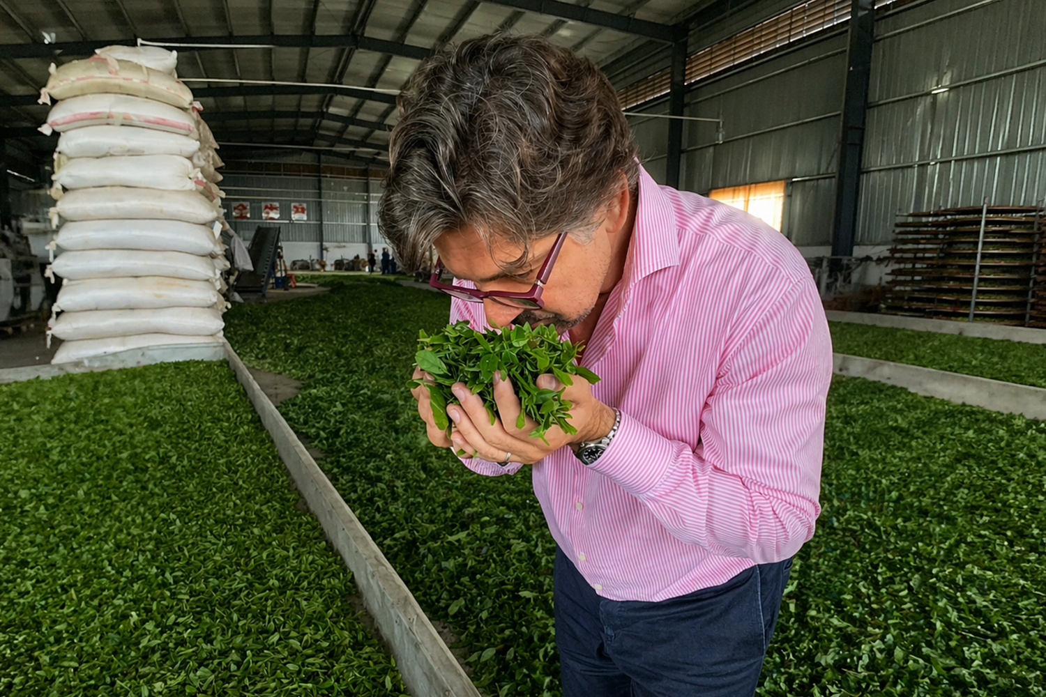 Person in pink shirt smelling fresh green leaves inside a large warehouse.