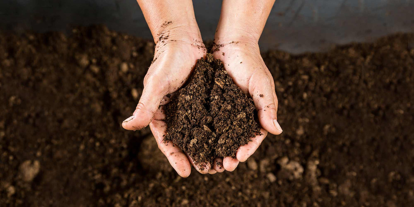 Composting Dirt with Tea