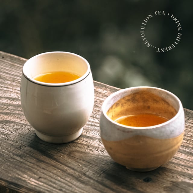 How to Make Iced Green Tea – Revolution Tea