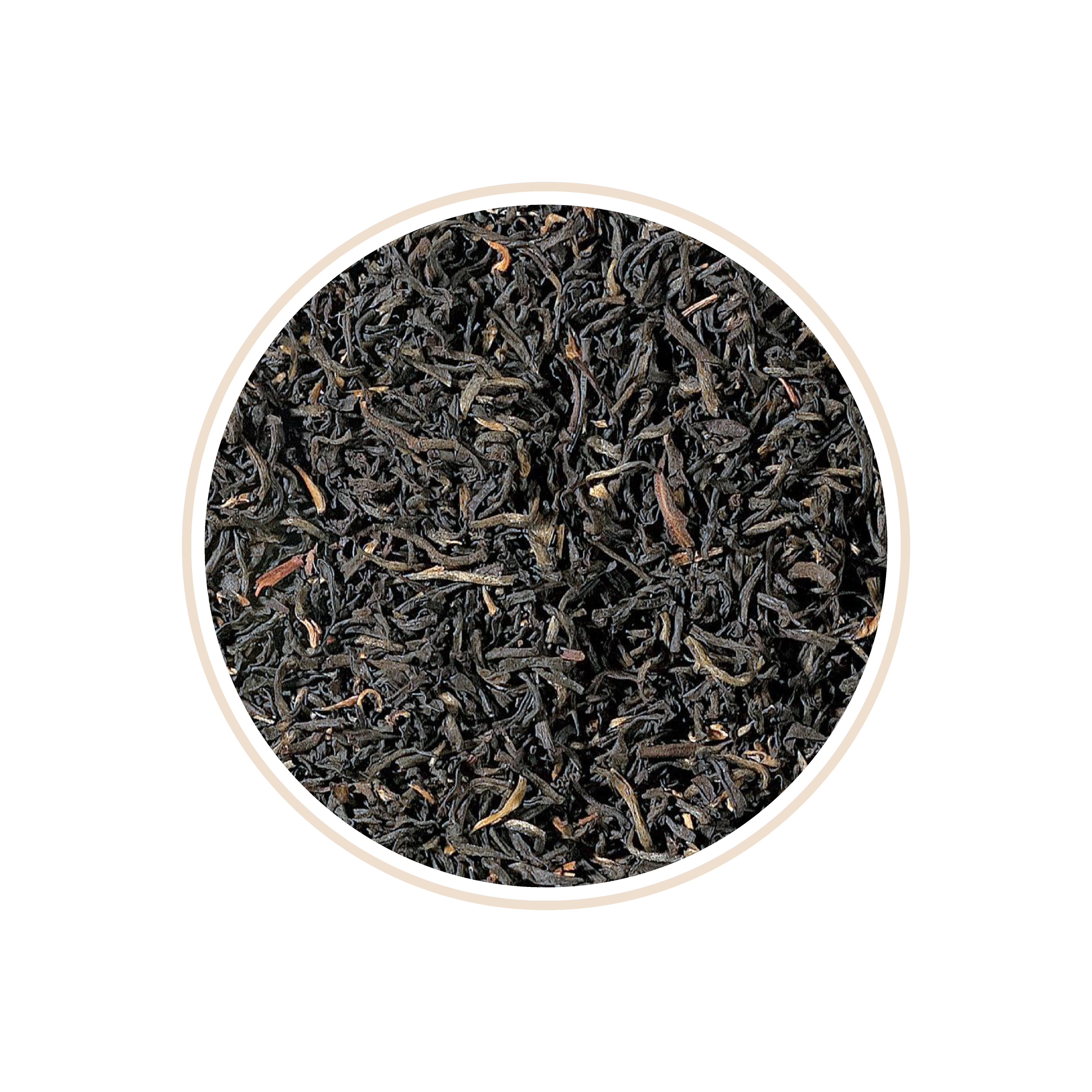 Dark curled black tea leaves with a glossy finish.