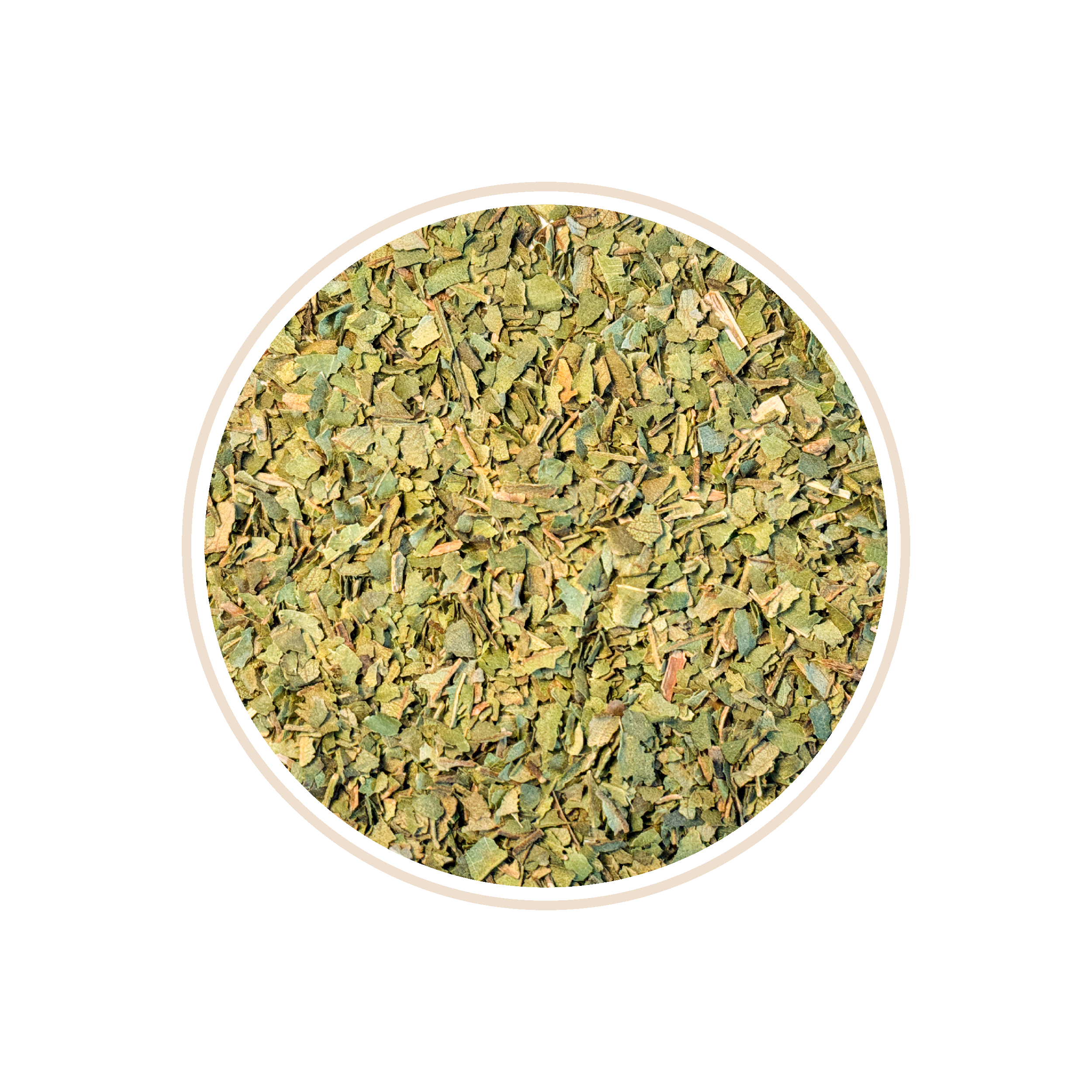 Light green dried mint leaves in a circular frame.