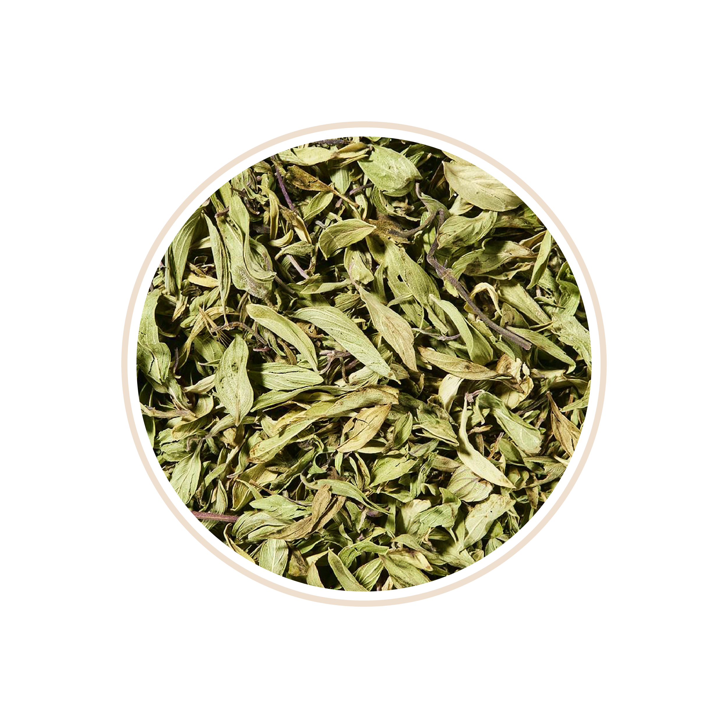 Dried mint leaves with a greenish hue, scattered closely together.