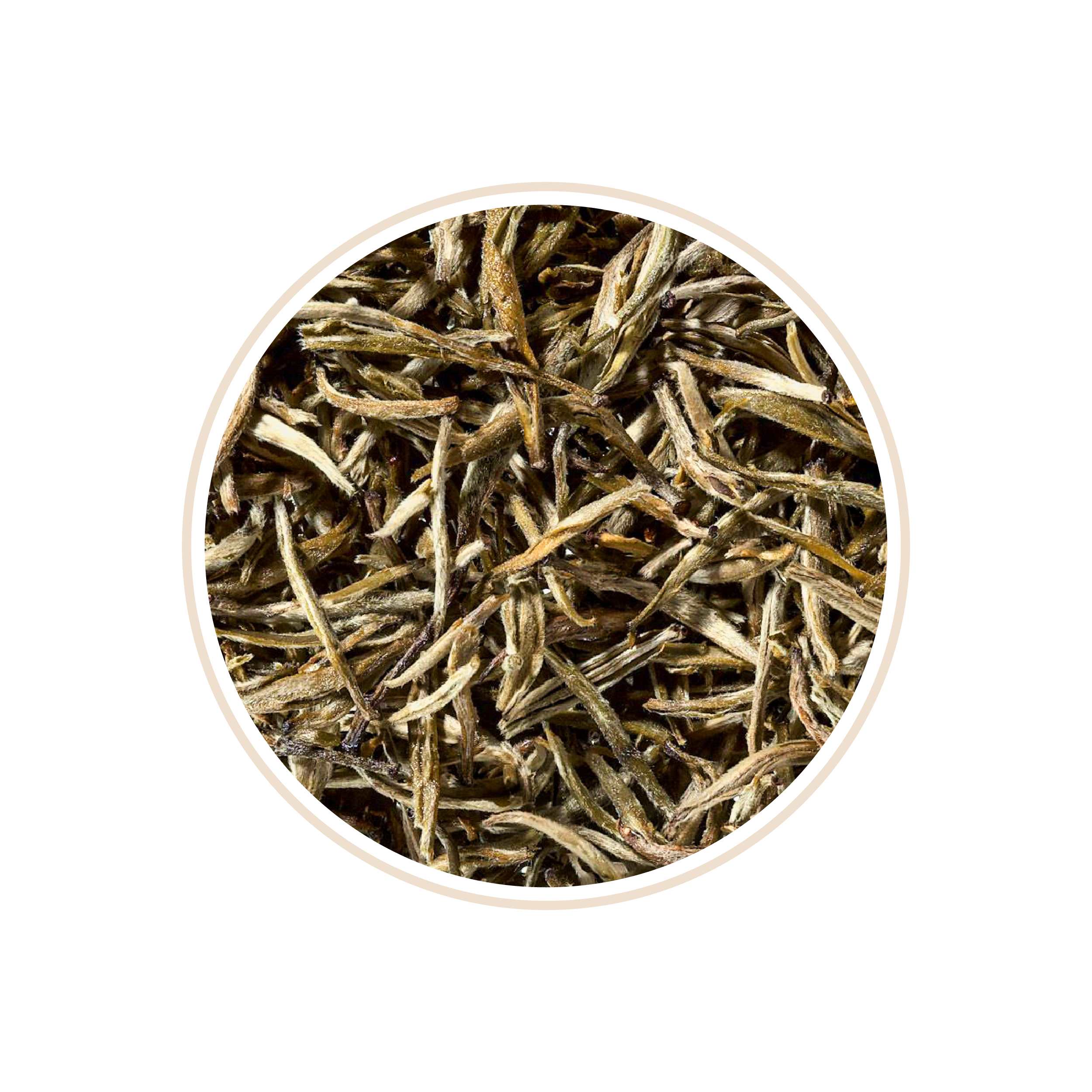 Close-up of dried green tea leaves in a circle.
