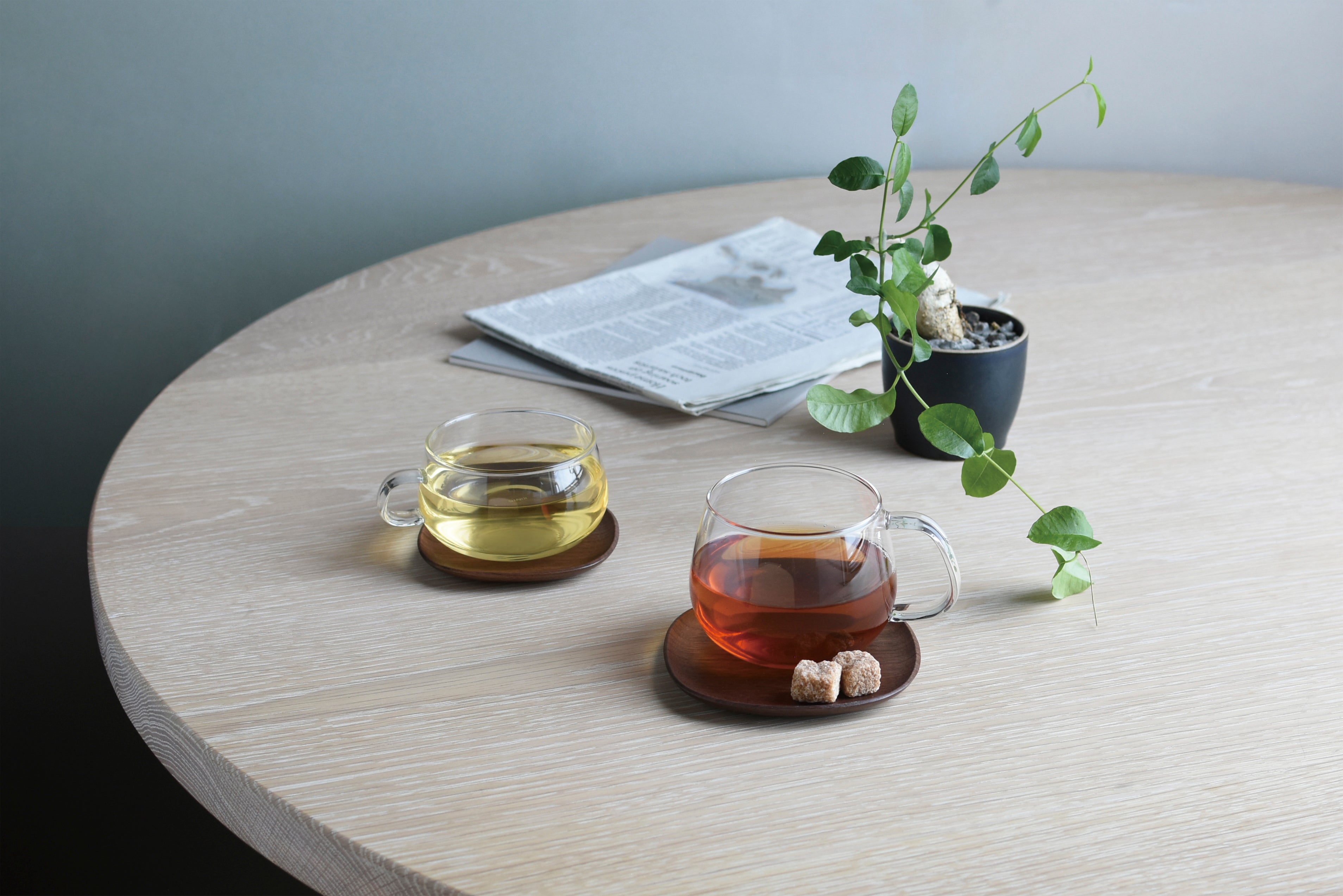 Two glass cups of tea on coasters with sugar cubes, next to a small potted plant.